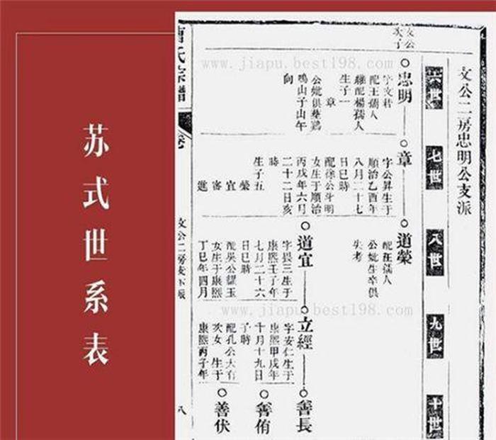 人类大体的知识谱系是什么，如何理解谱系
