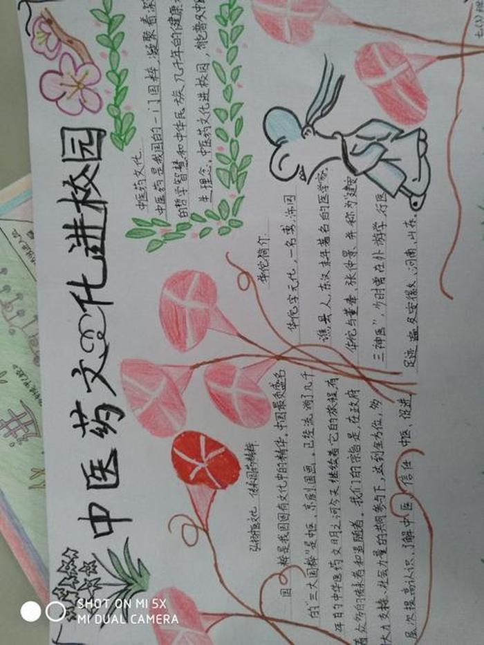 中医知识和故事 - 中医药小故事简短