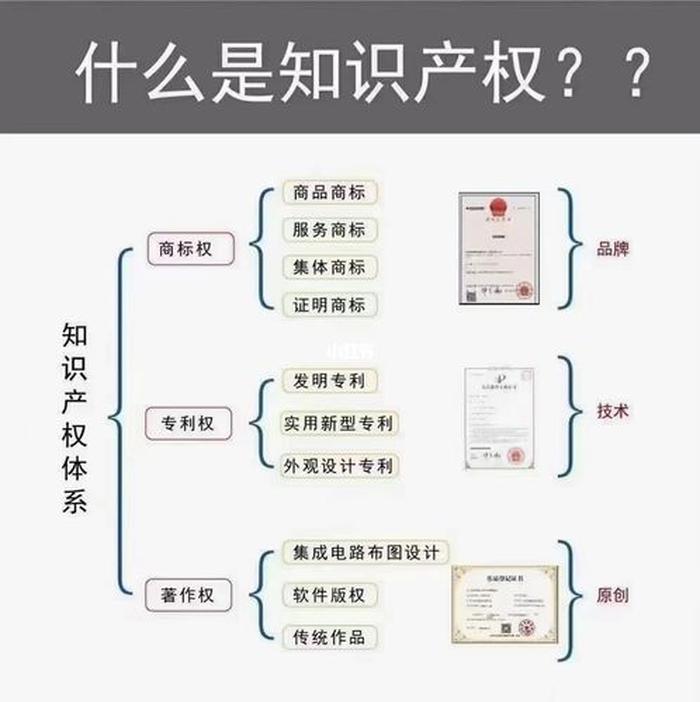 知识产权是干什么的单位，知识产权的种类