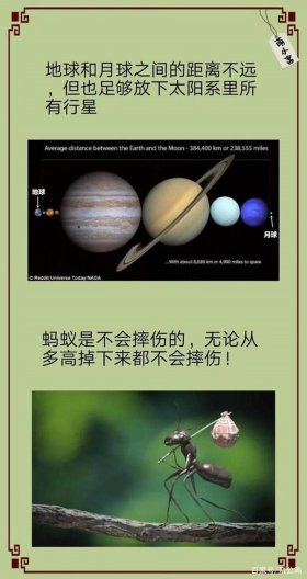 科技冷知识1000条；有趣的科学冷知识