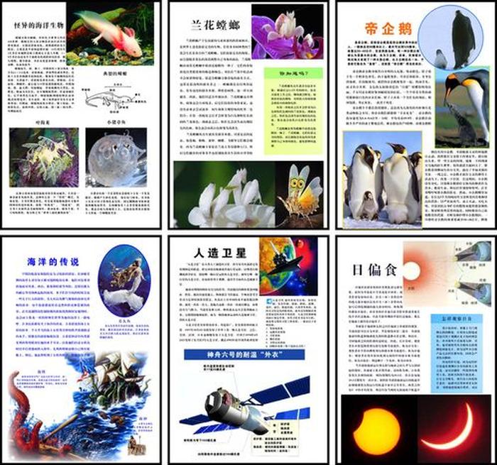 知识科普素材 - 日常生活科普小知识