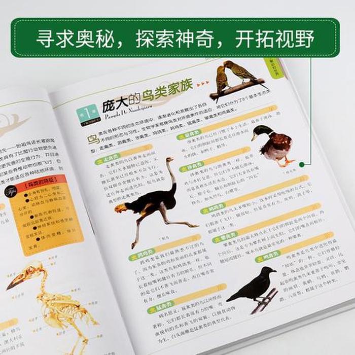 动物科普小知识小学生；小学必知道的科普知识