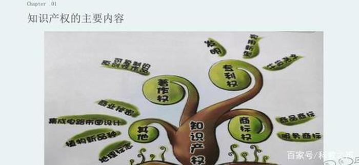 知识产权小科普，知识产权相关知识点