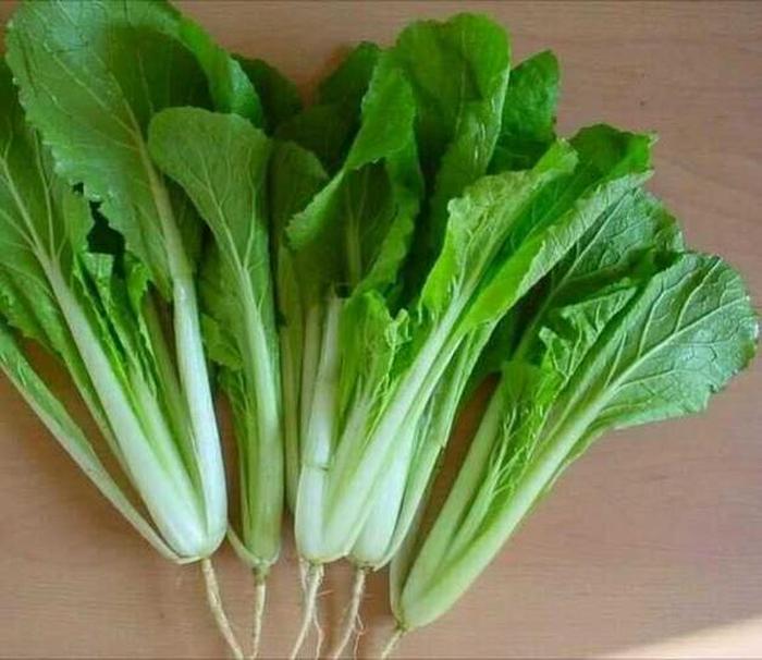 小白菜有哪些科学小知识，蔬菜小知识的资料