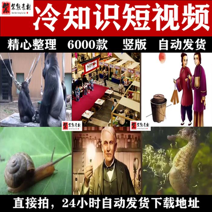 科普视频素材怎么找 做视频怎么找素材