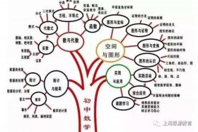 知识是什么意思解释、知识的基本概念