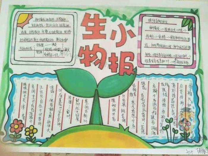 30个有趣的生物小知识手抄报 - 生物有趣冷知识