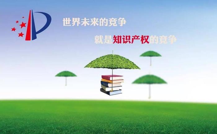 知识产权发展前景如何写；对知识产权行业的看法和认识