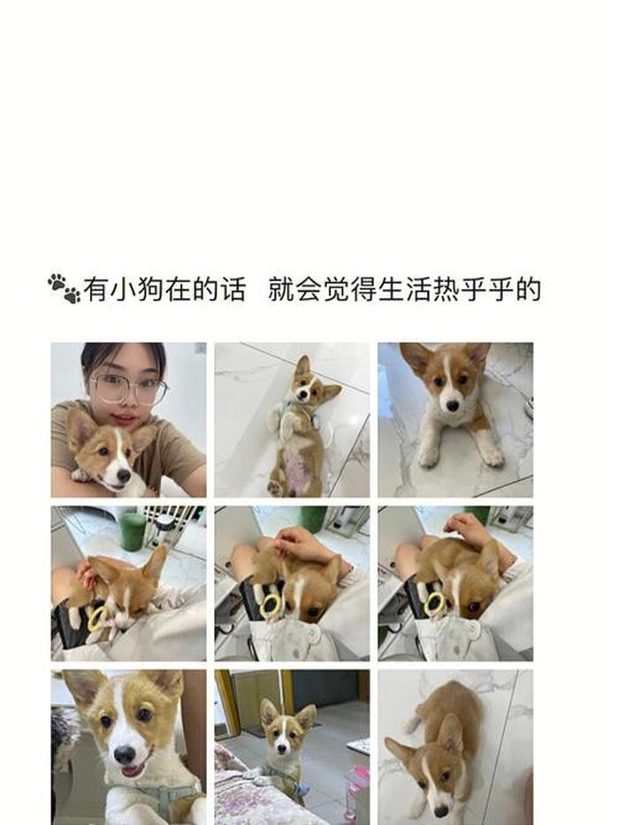 宠物知识科普文案、科普视频文案怎么写