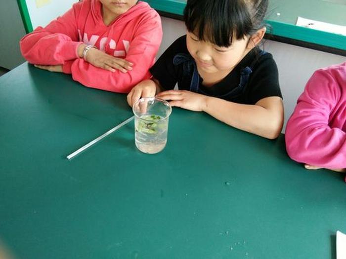 科普小实验一年级；十个简单的科学小实验