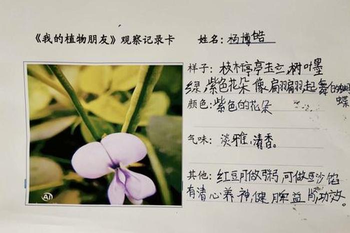 植物科普小知识自带喜感的植物 有趣的植物科普小知识