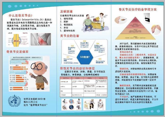 骨科健康科普知识 - 骨科相关知识宣传栏