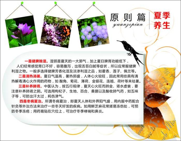 夏季养生小常识每日一条；适合这个季节的养生小常识