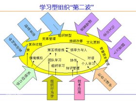 知识的类型有哪几种、知识的四种类型