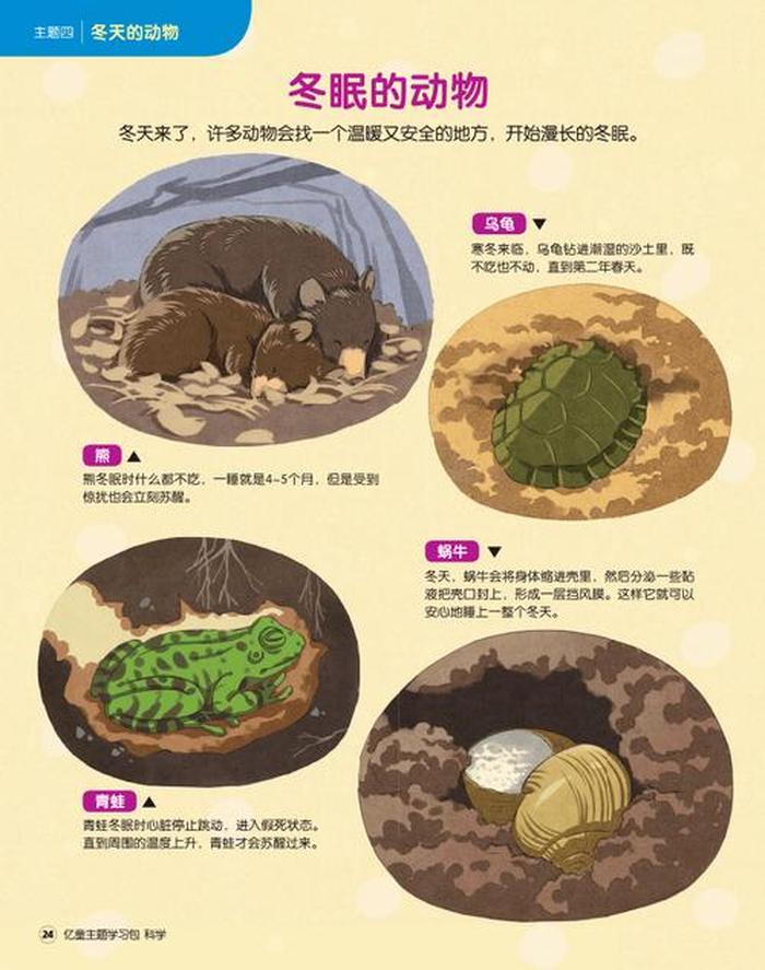 身边的科学小知识如何讲解；关于冬天的小知识讲解