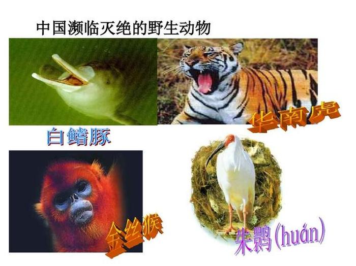 历史科普小知识有哪些；有趣的生物科普小知识