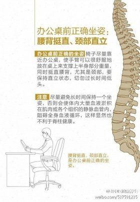 脊柱健康知识摘抄大全 - 脊柱日常保护小知识