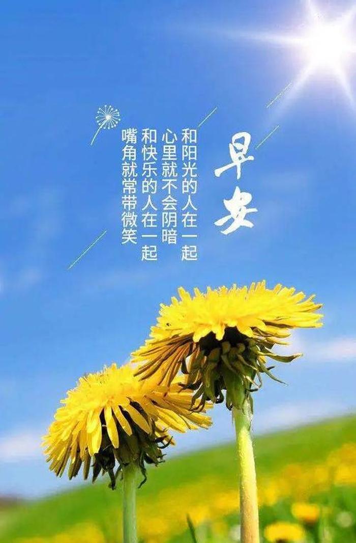 关于知识的正能量句子短句 正能量早安句子