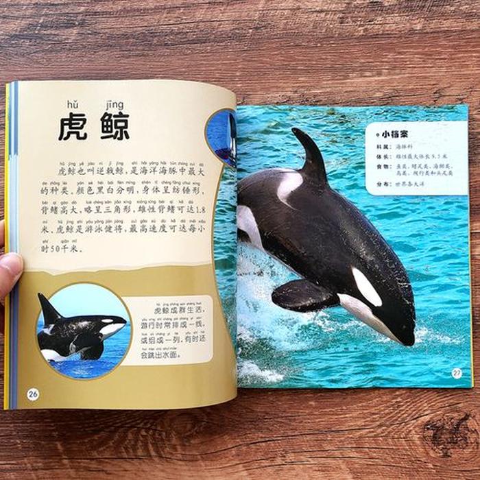 小孩科普知识大全；生物科普知识大全