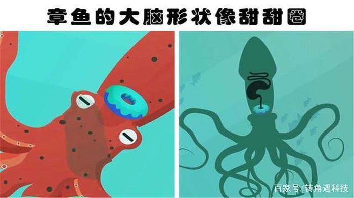 有趣的科学冷知识 10个神奇搞笑的冷知识