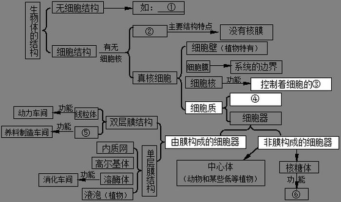 知识网络图怎么画生物、七上生物知识点归纳图