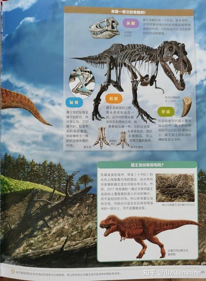 百科知识大全一一恐龙；最全的百科知识大全
