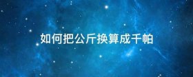 知识怎么解释一千帕等于；千帕和公斤的换算