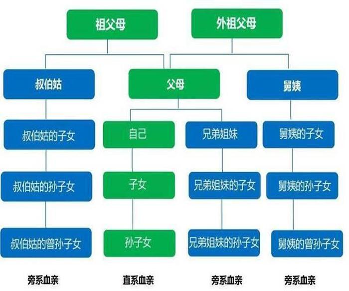 哪些是直系亲属 - 直系亲属和旁系亲属