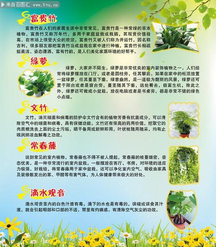 科普知识资料大全600字以上 科普知识有哪些