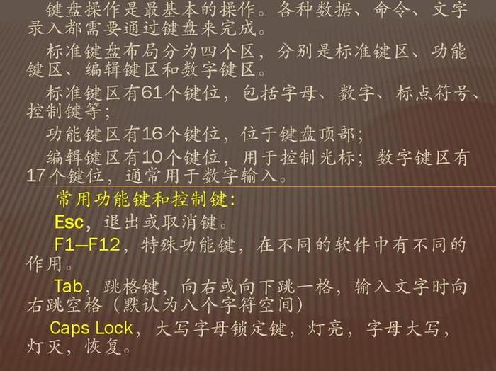 小学计算机知识大全集 - 如何学好计算机