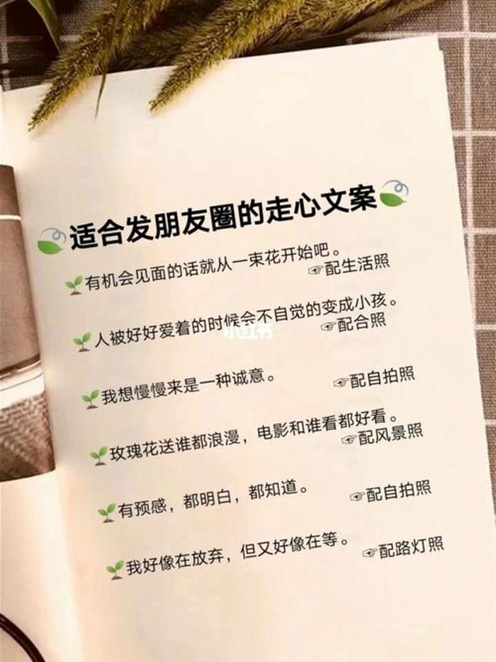 健康文案简短走心 - 适合发朋友圈的健康短句