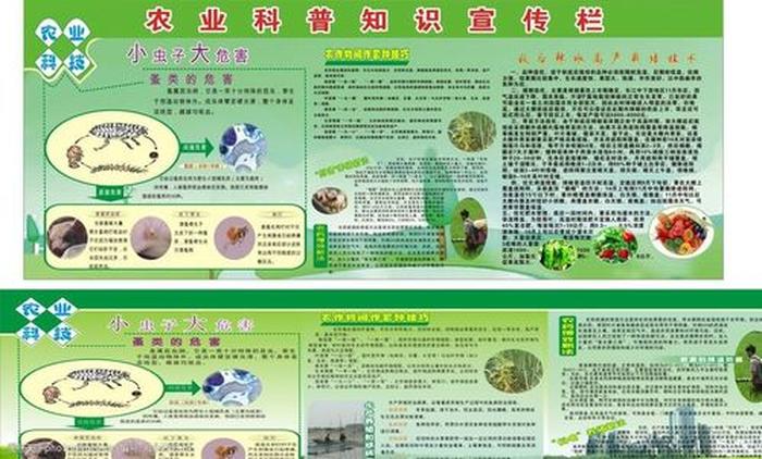 科普知识素材网站有哪些；科普讲解素材
