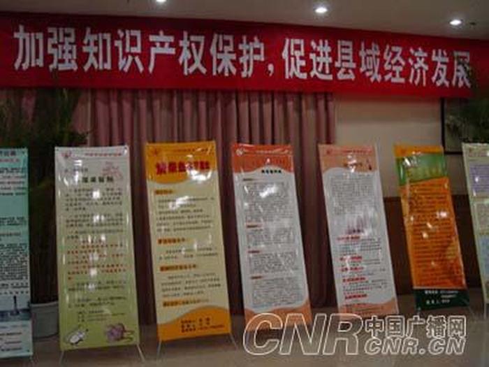 关于知识产权的事例，知识产权十大案例