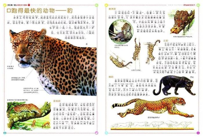 中国动物百科知识大全，动物大全500种