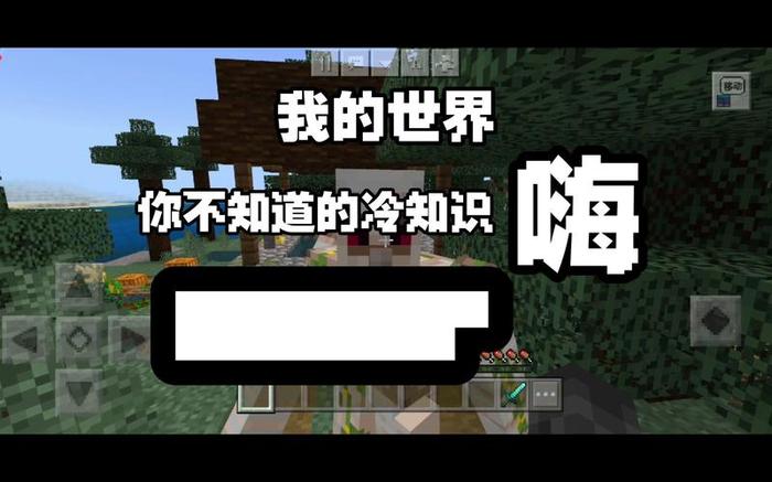 我的世界有哪些冷知识；我的世界冷知识大全
