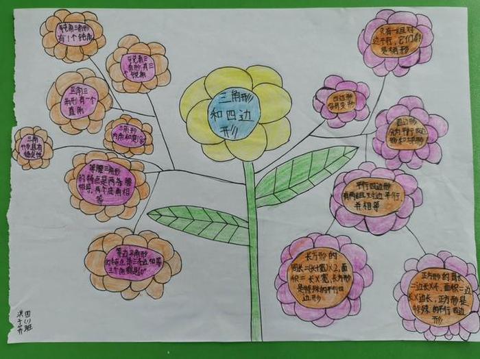 小学生知识大全图解，小学知识思维导图