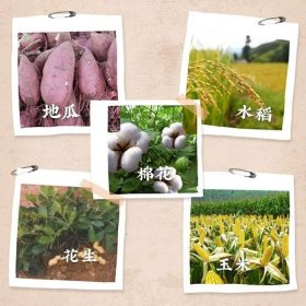 秋天生活小常识100条简短、我发现了秋天的秘密