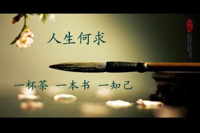 知识对人生的影响 知识让你人生变得更强大