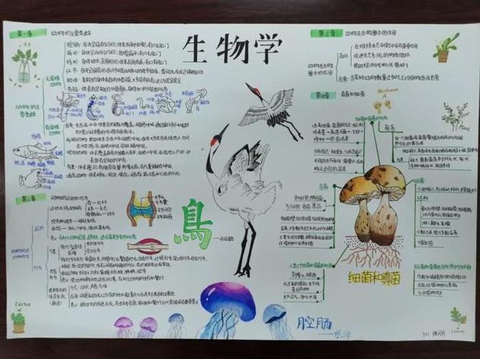 生物学科普趣味小知识 生物常识500条