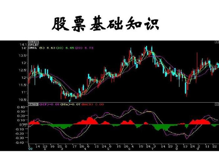 股票常识性知识，股票入门知识讲解大全