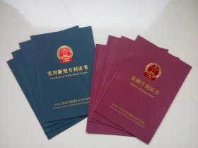 自主知识产权和专利，实用新型专利和发明专利区别