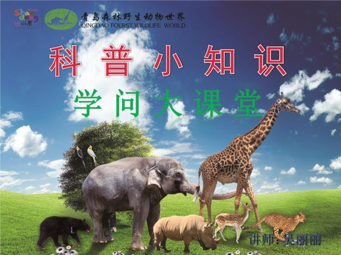 科技小知识简短小学生ppt、适合小学生的小常识