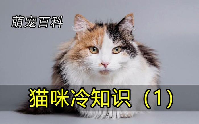 100个冷门小知识大全 - 冷门小知识