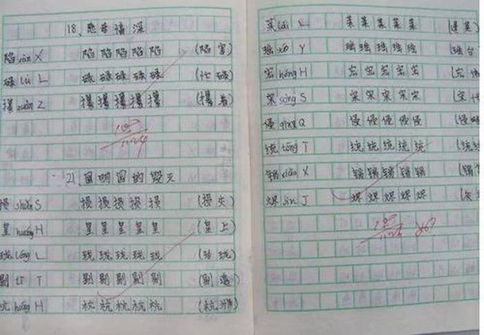 小学生中国基本知识100字；小学生如何写好字