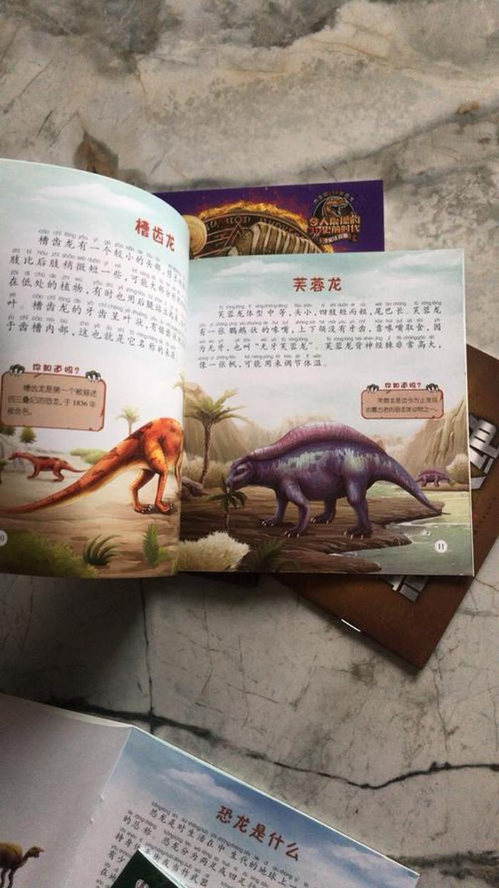 幼儿园百科知识故事 - 有趣的百科知识大全
