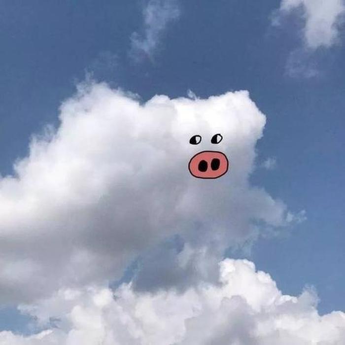 抖音生活小常识背景图；抖音生活小常识头像图片