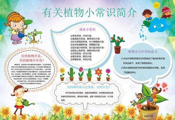 关于植物的科普小知识大全 - 了解植物的有关知识