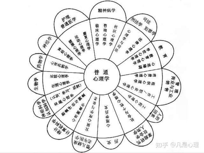 社会心理学知识与常识的关系 社会心理学要有什么的视角