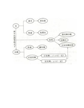 知识网络图怎么画好看又简单、知识网络图模板
