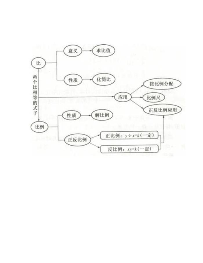 知识网络图怎么画好看又简单、知识网络图模板